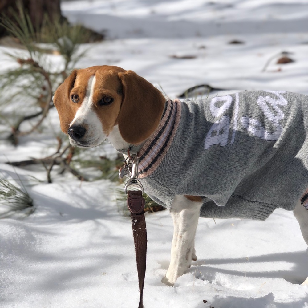 Meet your Posher, Christine